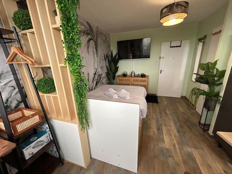Le Cosy Jungle
