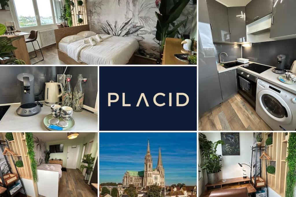 Apartment Le Cosy Jungle Chartres