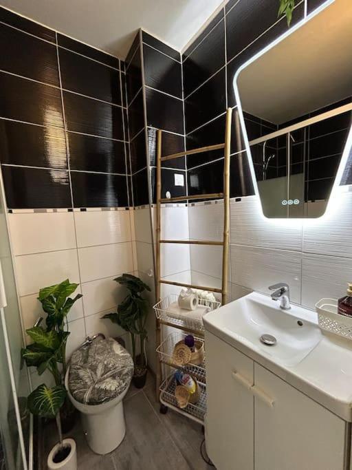Le Cosy Jungle Apartment Chartres